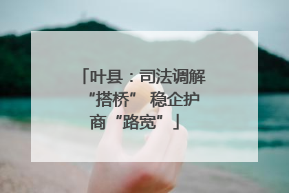 叶县：司法调解“搭桥” 稳企护商“路宽”
