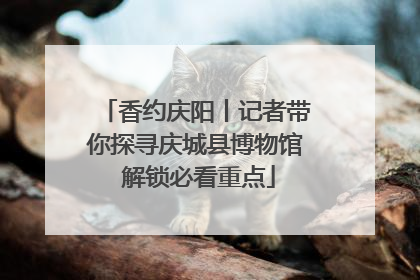香约庆阳丨记者带你探寻庆城县博物馆 解锁必看重点
